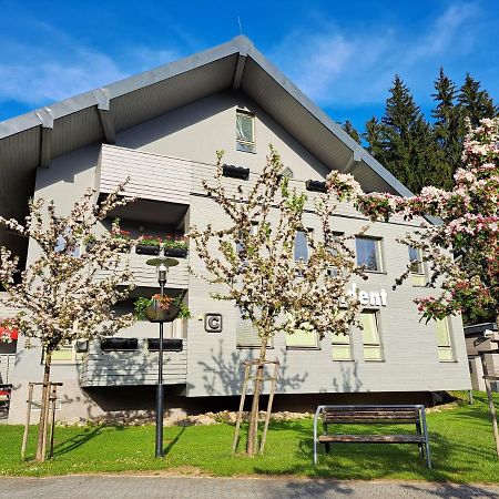 Wellness Apartment Josefina - Free Grotta Spa Wellness Harrachov Ngoại thất bức ảnh